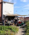 A small group of people hanging out on a rooftop garden. There are herbs and plants, as well as tables, benches, and cooking utilities. Part of the garden is covered, and lightbulbs have been hugn up. It is daylight.